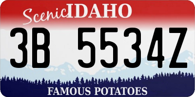 ID license plate 3B5534Z
