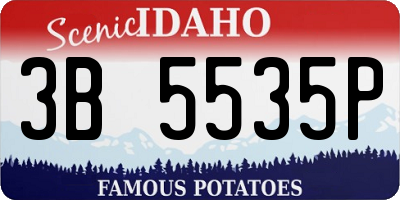 ID license plate 3B5535P