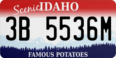 ID license plate 3B5536M