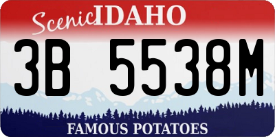 ID license plate 3B5538M