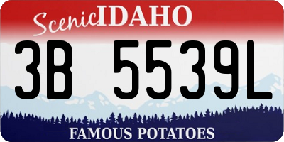 ID license plate 3B5539L