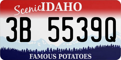 ID license plate 3B5539Q