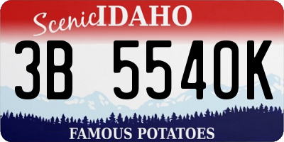 ID license plate 3B5540K