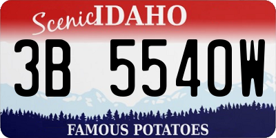 ID license plate 3B5540W