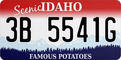 ID license plate 3B5541G
