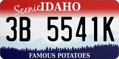 ID license plate 3B5541K