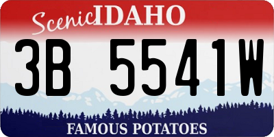 ID license plate 3B5541W