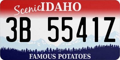 ID license plate 3B5541Z