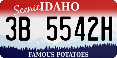 ID license plate 3B5542H