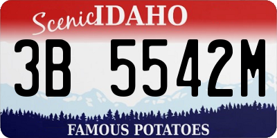 ID license plate 3B5542M