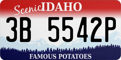 ID license plate 3B5542P