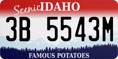 ID license plate 3B5543M