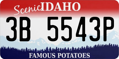 ID license plate 3B5543P