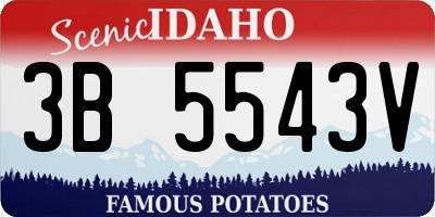 ID license plate 3B5543V