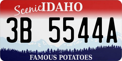 ID license plate 3B5544A