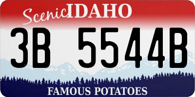 ID license plate 3B5544B