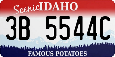 ID license plate 3B5544C
