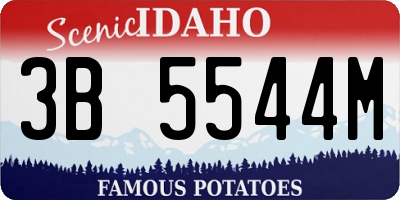 ID license plate 3B5544M