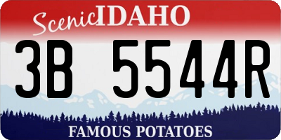 ID license plate 3B5544R