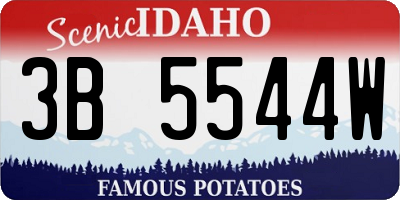 ID license plate 3B5544W