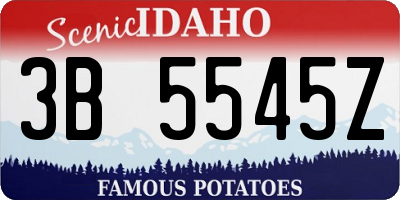 ID license plate 3B5545Z