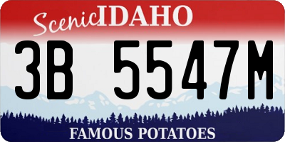 ID license plate 3B5547M