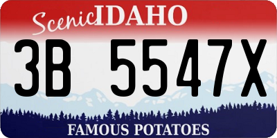 ID license plate 3B5547X