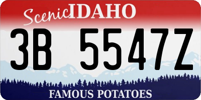 ID license plate 3B5547Z