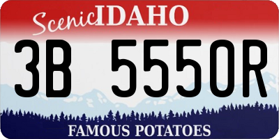 ID license plate 3B5550R