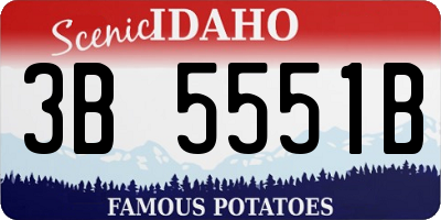 ID license plate 3B5551B