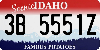 ID license plate 3B5551Z