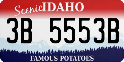 ID license plate 3B5553B