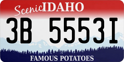 ID license plate 3B5553I