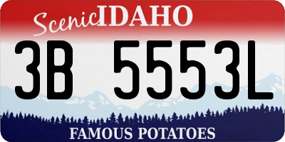 ID license plate 3B5553L