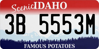 ID license plate 3B5553M