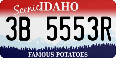ID license plate 3B5553R