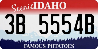 ID license plate 3B5554B