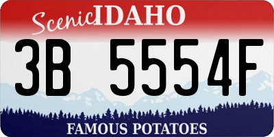 ID license plate 3B5554F