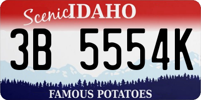 ID license plate 3B5554K