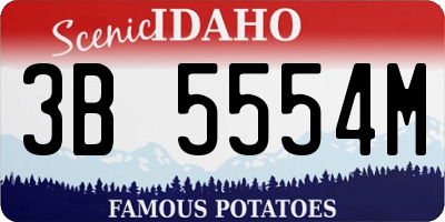 ID license plate 3B5554M