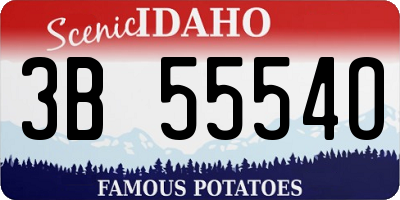 ID license plate 3B5554O