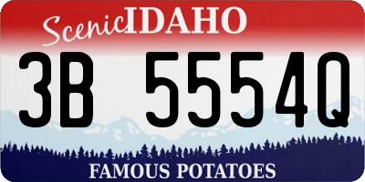 ID license plate 3B5554Q