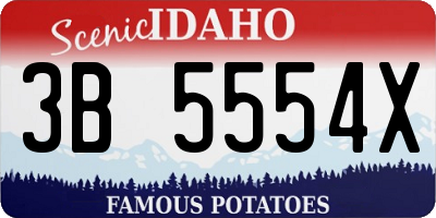ID license plate 3B5554X