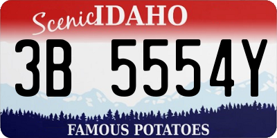 ID license plate 3B5554Y