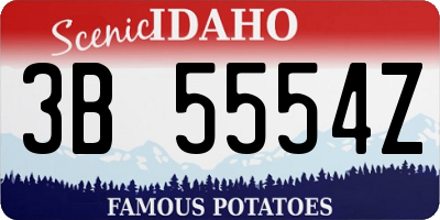 ID license plate 3B5554Z