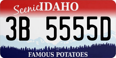 ID license plate 3B5555D