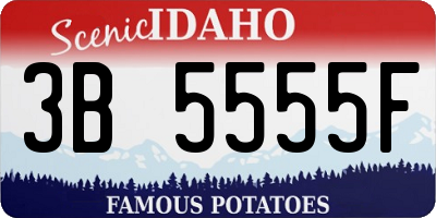 ID license plate 3B5555F