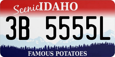 ID license plate 3B5555L