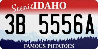 ID license plate 3B5556A