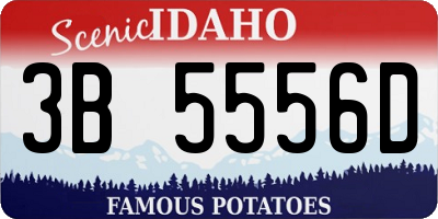 ID license plate 3B5556D